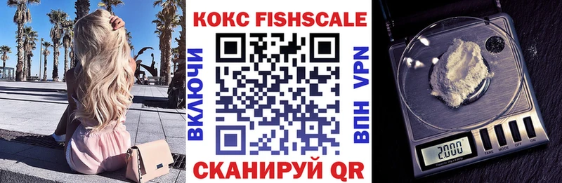 Cocaine Fish Scale  МЕГА как войти  Сердобск 