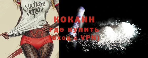 ГАЛЛЮЦИНОГЕННЫЕ ГРИБЫ Богданович