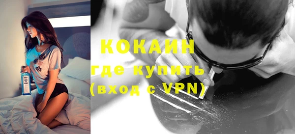 дмт Богородицк