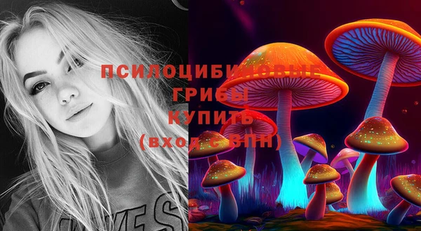 дмт Богородицк