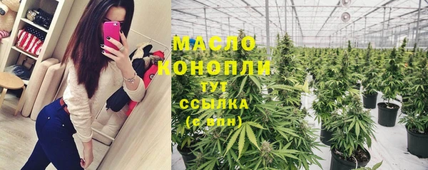 ГАЛЛЮЦИНОГЕННЫЕ ГРИБЫ Богданович