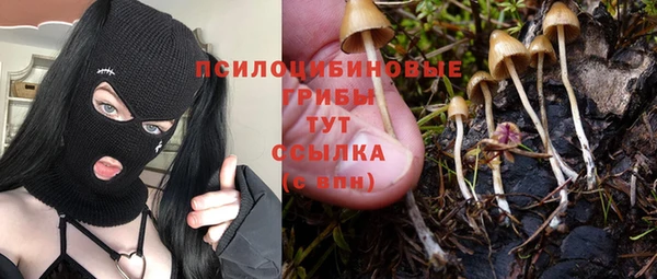 ГАЛЛЮЦИНОГЕННЫЕ ГРИБЫ Богданович