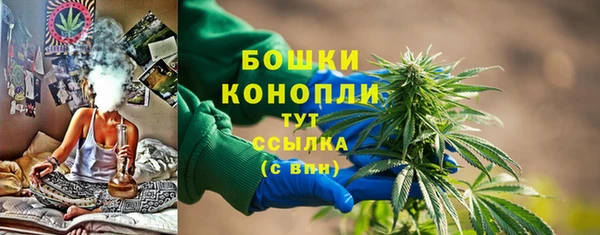 дмт Богородицк
