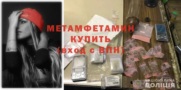 ГАЛЛЮЦИНОГЕННЫЕ ГРИБЫ Богданович