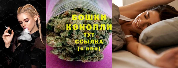 ГАЛЛЮЦИНОГЕННЫЕ ГРИБЫ Богданович