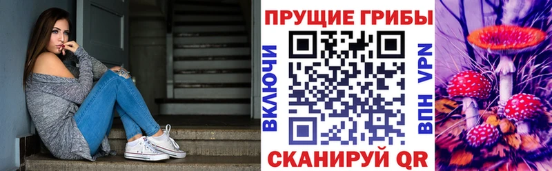 Псилоцибиновые грибы Magic Shrooms  где найти   KRAKEN онион  Сердобск 